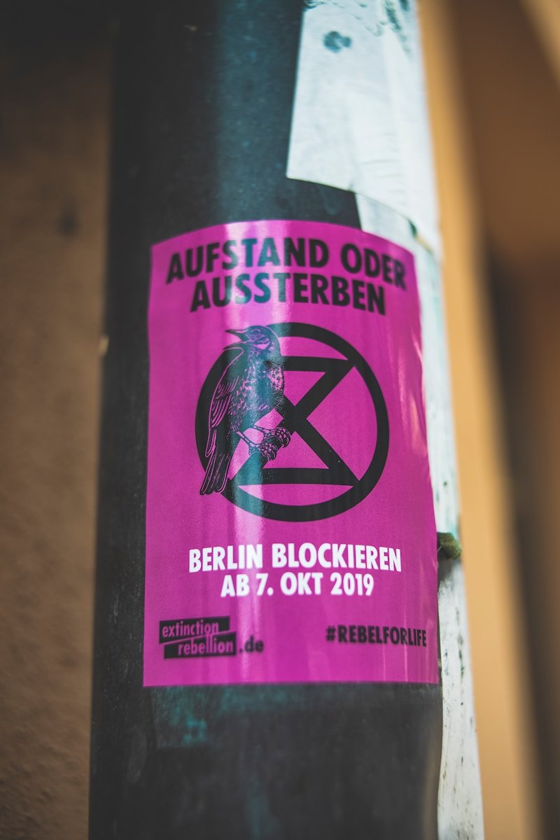 in decal bề mặt cong